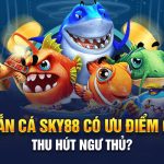 7-Ban-ca-SKY88-co-uu-diem-gi-thu-hut-ngu-thu-