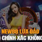 New88 lừa đảo có chính xác không? 