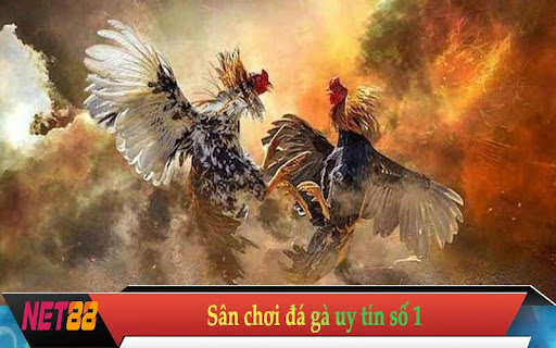 game bk8 - Khám Phá Thế Giới Giải Trí Đỉnh Cao Với Nền Tảng Độc Đáo