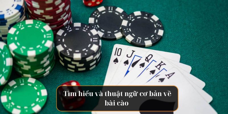 Tìm hiểu vài thuật ngữ cơ bản về bài cào